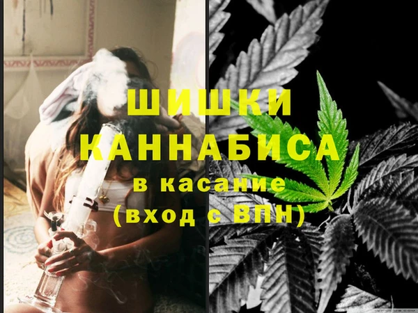 молекула духа Горно-Алтайск