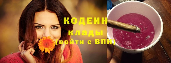 молекула духа Горно-Алтайск