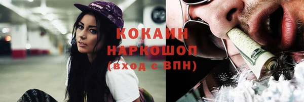 винт Горняк